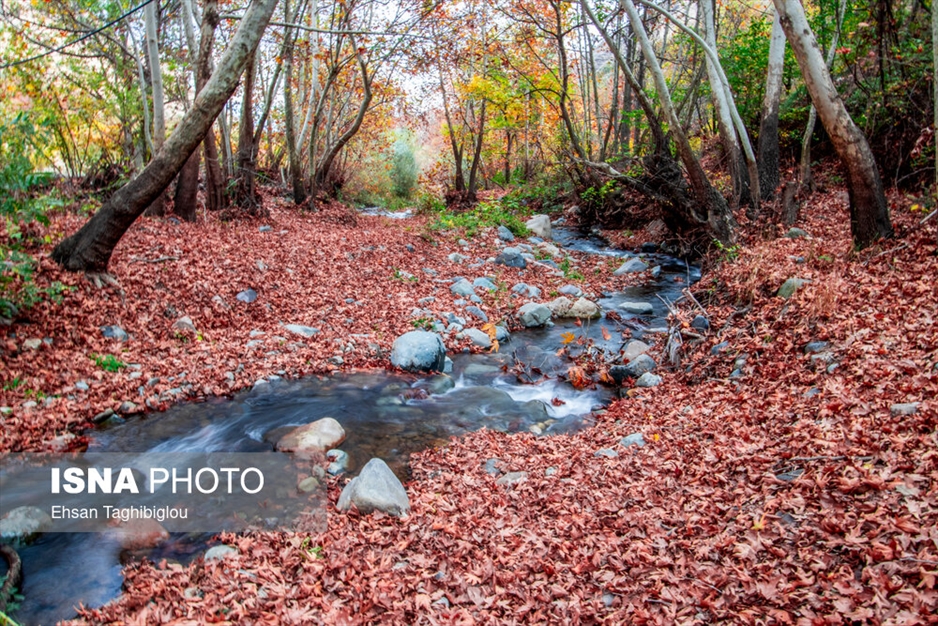 پاییز هزار رنگ در روستای «شیت»