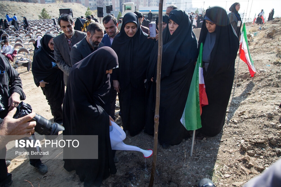 کاشت پنج هزار نهال به یاد کودکان و زنان شهید غزه