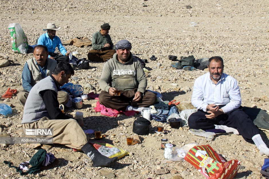  ماهیگیری در سَد