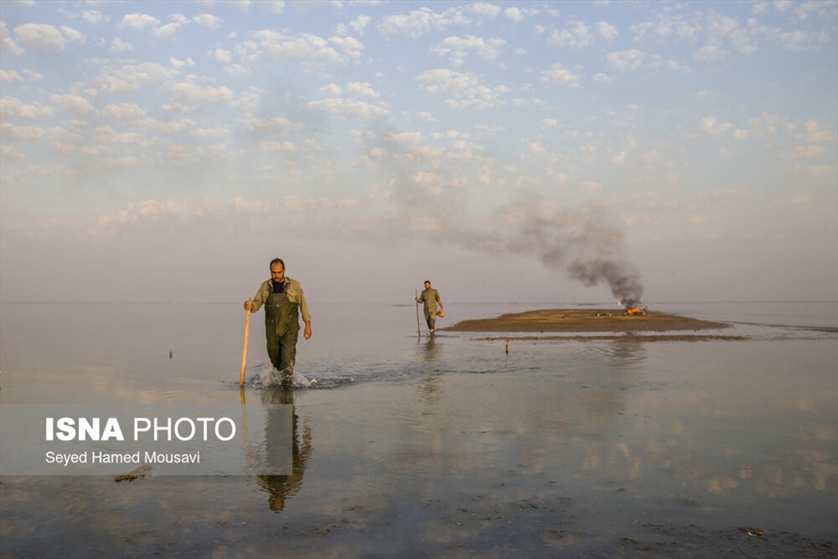 نگهبانان تالاب