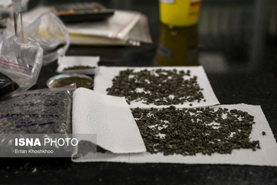 آزمایشگاه مرجع سازمان غذا و دارو