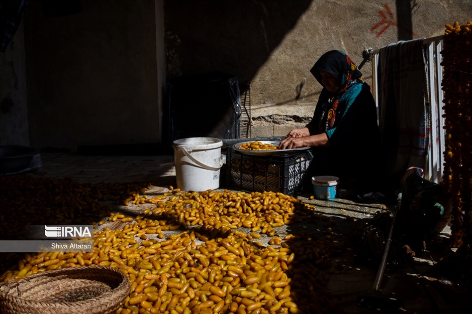 خرمای خاوران