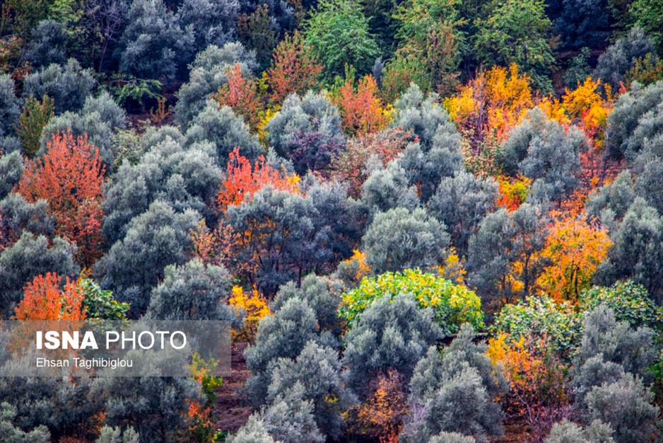 پاییز هزار رنگ در روستای «شیت»