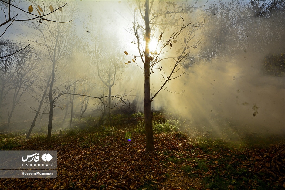 پاییزِ بجنورد