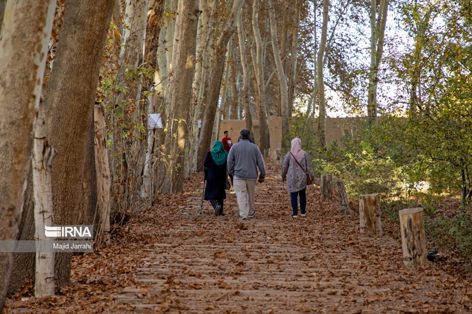 پاییز باغ پهلوان پور