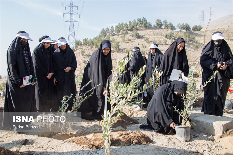 کاشت پنج هزار نهال به یاد کودکان و زنان شهید غزه
