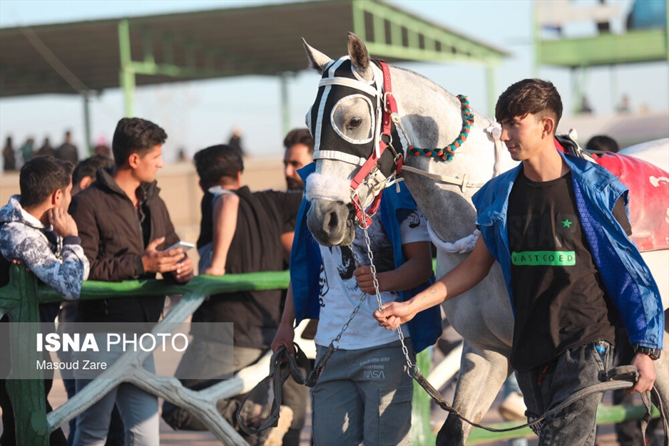 دهمین هفته کورس پاییزه اسب دوانی یزد