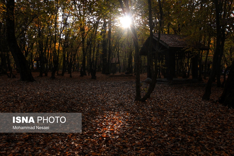 پاییز هزار رنگ در جنگل «النگدره»