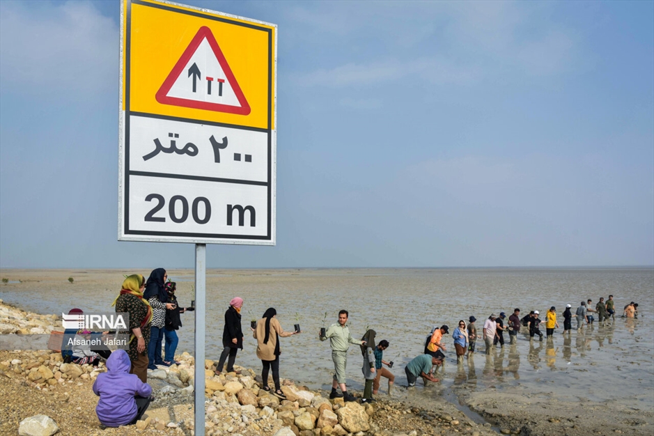 پویش مردمی کاشت یک میلیارد درخت