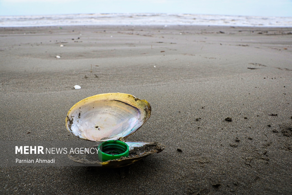 خزر در مرز خفگی!