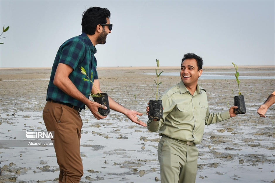 پویش مردمی کاشت یک میلیارد درخت