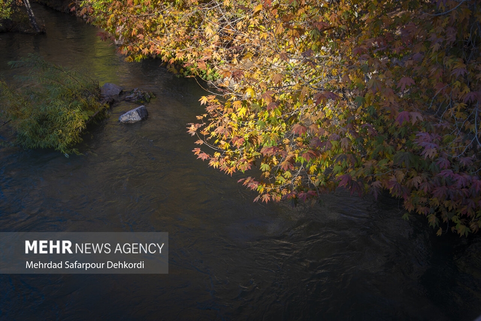 طبیعت پاییزی زاینده رود