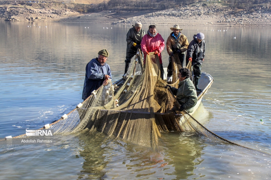  ماهیگیری در سَد