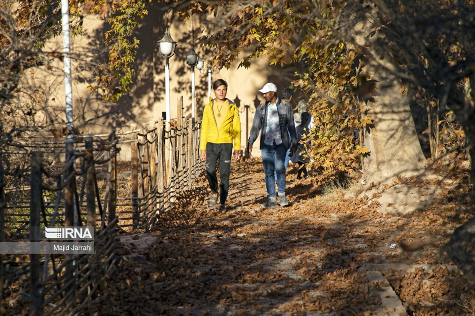 پاییز باغ پهلوان پور