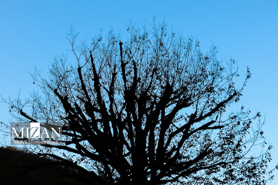 مناظر پاییزی در آبشار لاتون