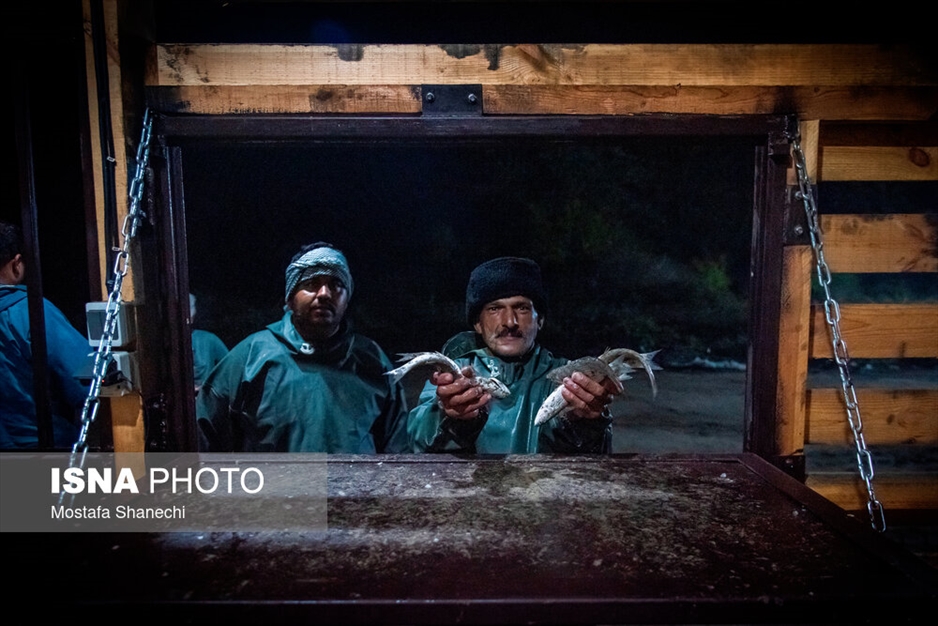 صید شبانه ماهی