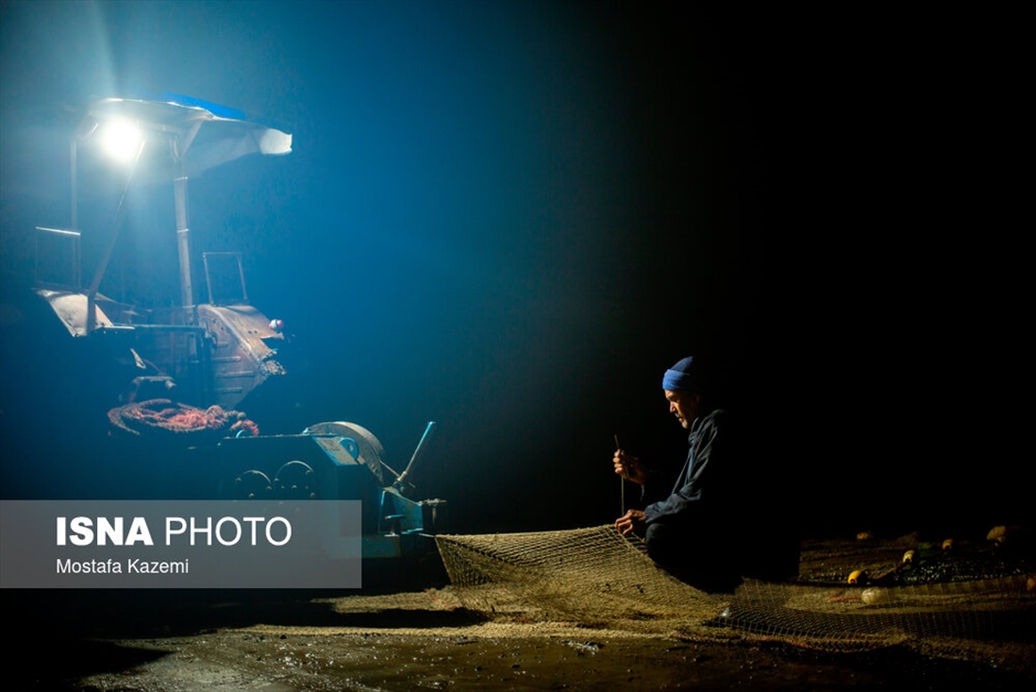 صید شبانه ماهی