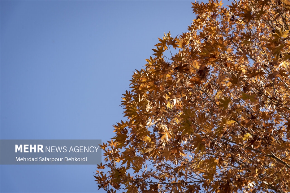 طبیعت پاییزی زاینده رود