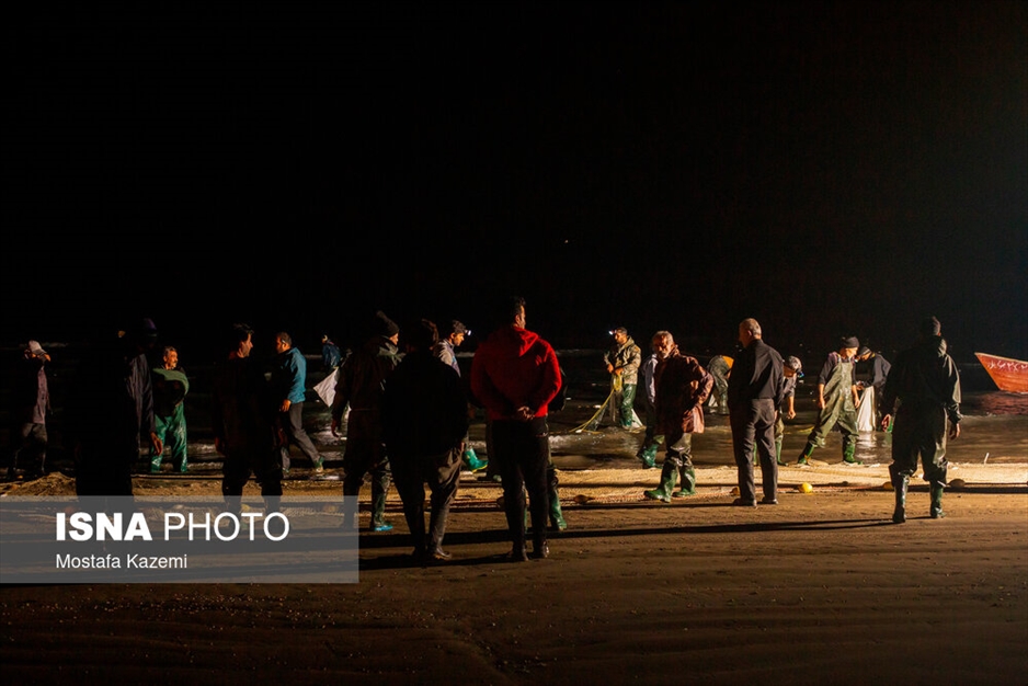 صید شبانه ماهی