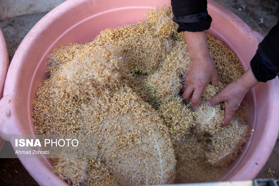 سمنو" نذر فاطمیه