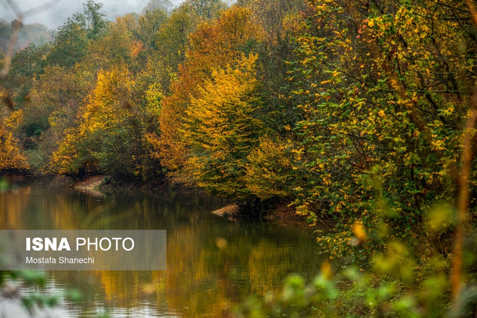 طبیعت پاییزی دریاچه سد برنجستانک سوادکوه