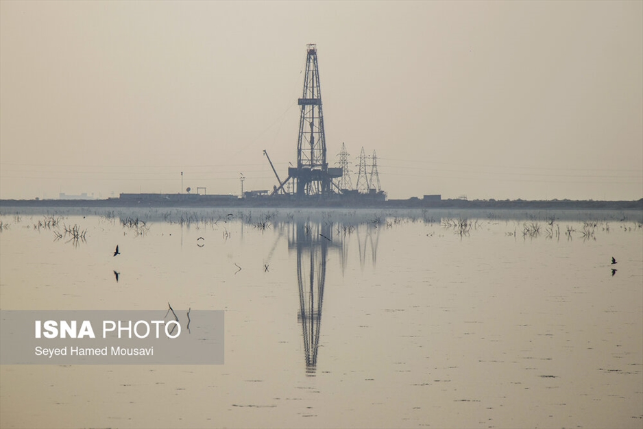 نگهبانان تالاب