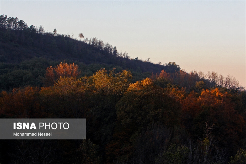 پاییز هزار رنگ در جنگل «النگدره»