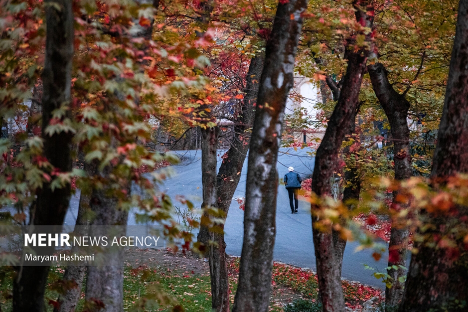طبیعت پاییزی تهران