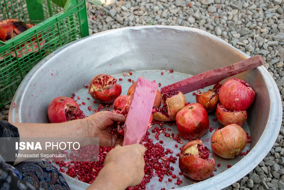 رب‌گیری انار - ساوه