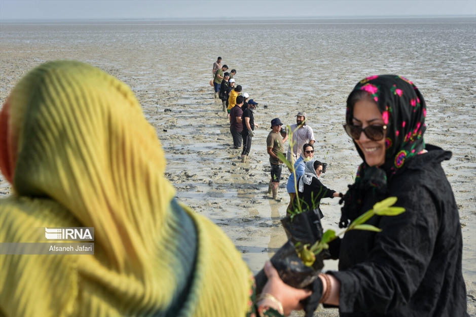 پویش مردمی کاشت یک میلیارد درخت