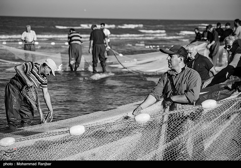 پره گیری صیادان انزلی