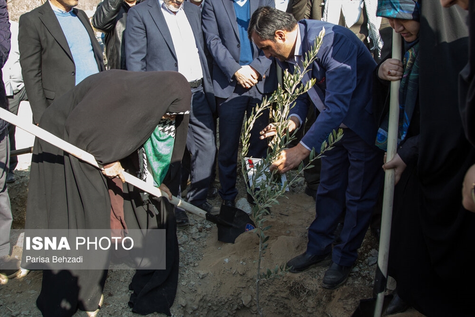 کاشت پنج هزار نهال به یاد کودکان و زنان شهید غزه