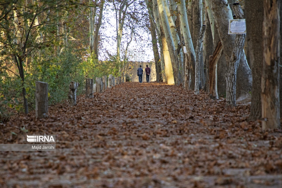 پاییز باغ پهلوان پور