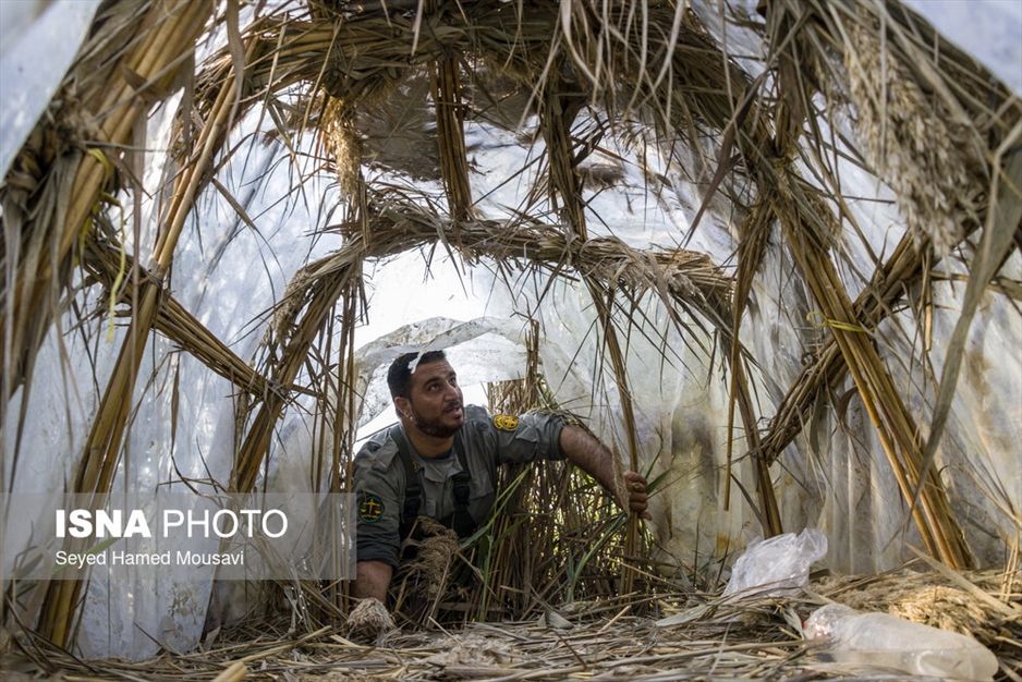 نگهبانان تالاب