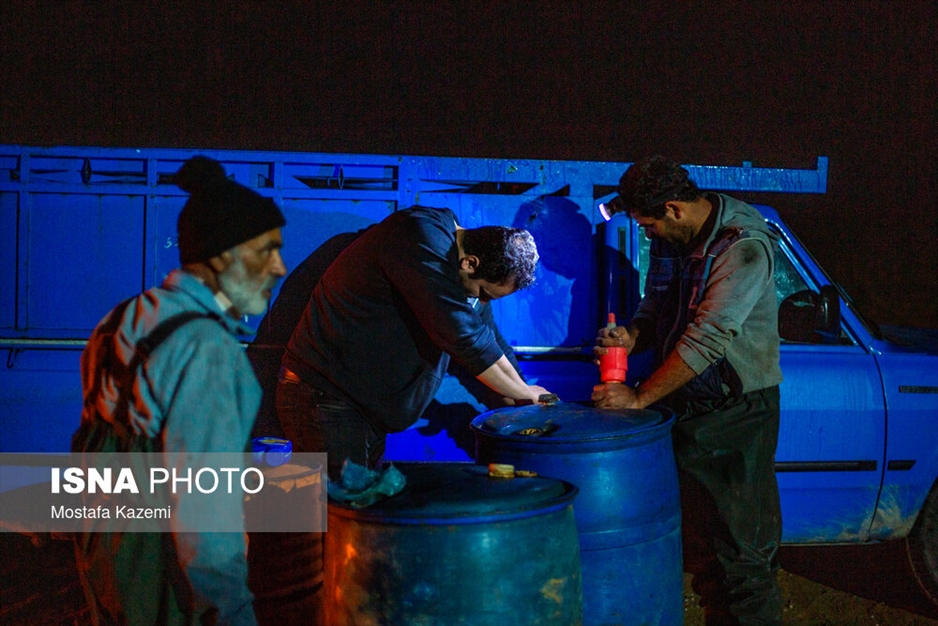 صید شبانه ماهی