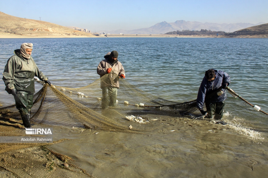  ماهیگیری در سَد