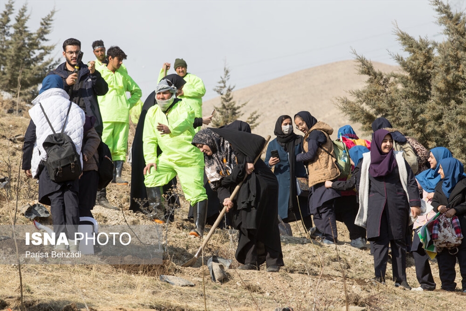 کاشت پنج هزار نهال به یاد کودکان و زنان شهید غزه