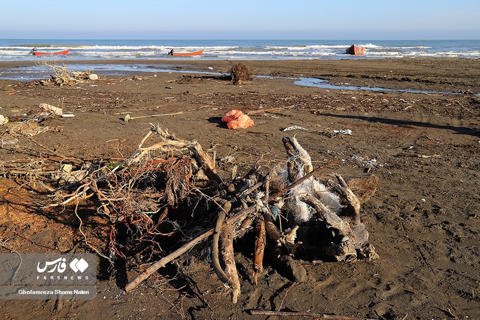 تور صیادان به درخت می خورد!