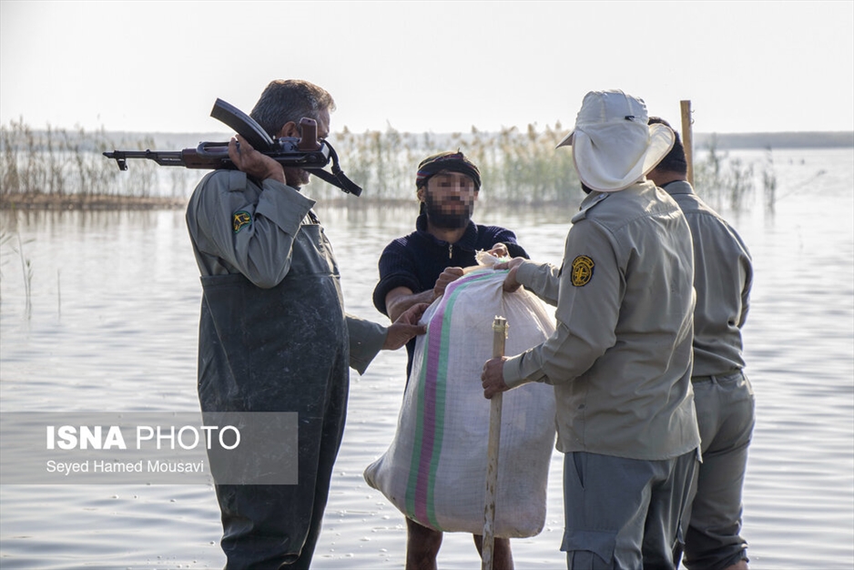 نگهبانان تالاب