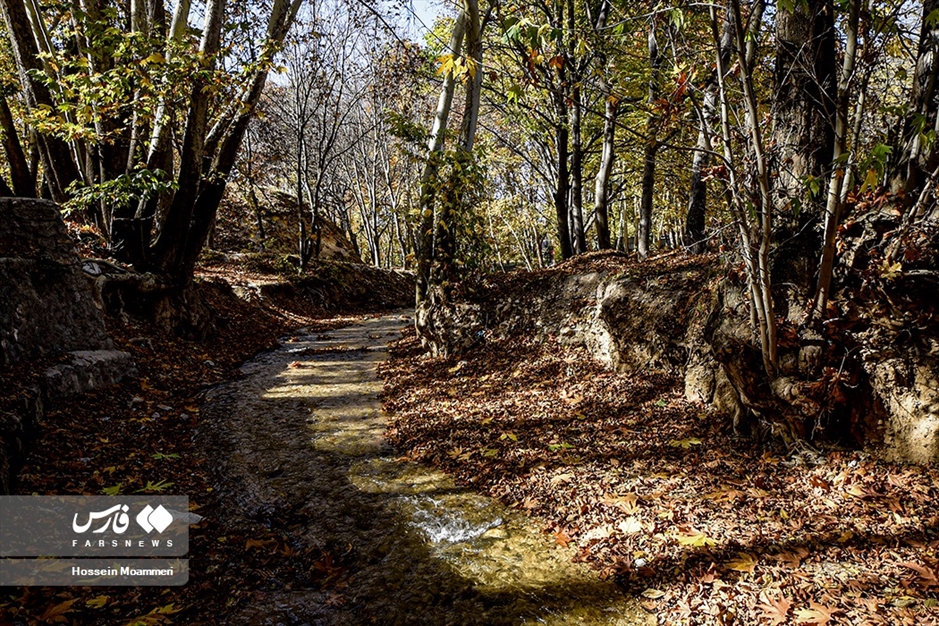 پاییزِ بجنورد