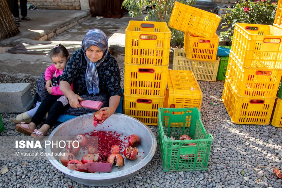 رب‌گیری انار - ساوه