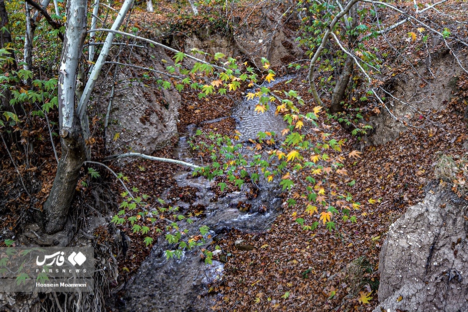 پاییزِ بجنورد