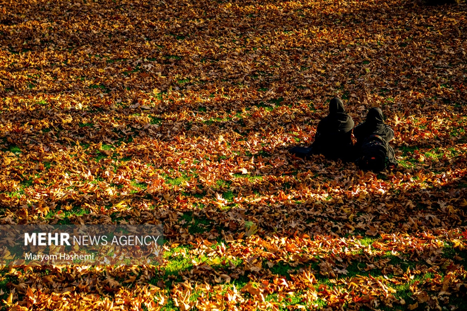 طبیعت پاییزی تهران