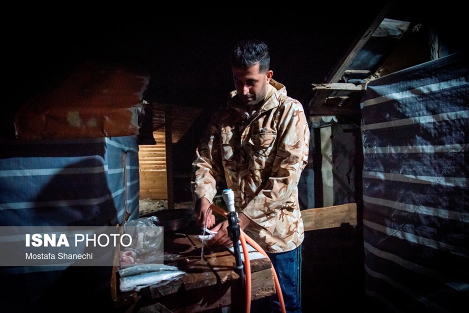 صید شبانه ماهی