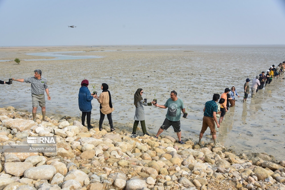 پویش مردمی کاشت یک میلیارد درخت