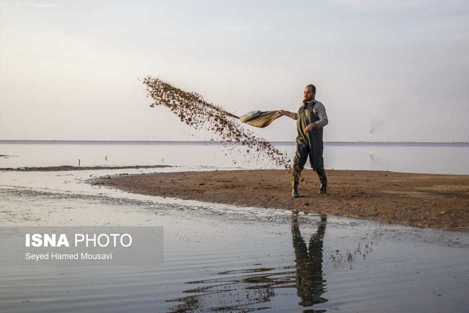 نگهبانان تالاب