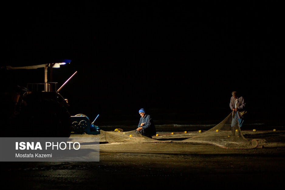 صید شبانه ماهی