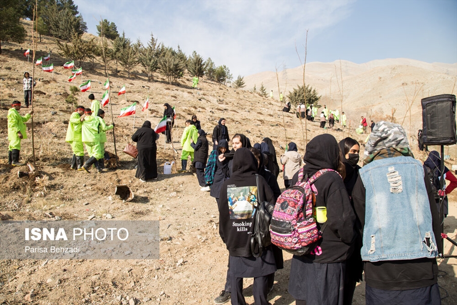 کاشت پنج هزار نهال به یاد کودکان و زنان شهید غزه