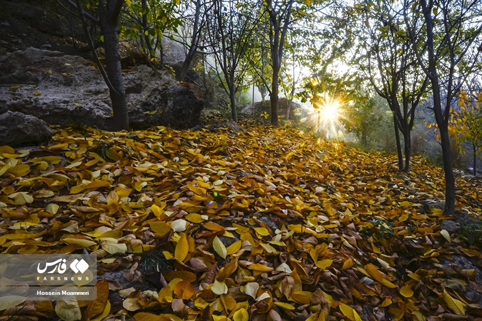 پاییزِ بجنورد