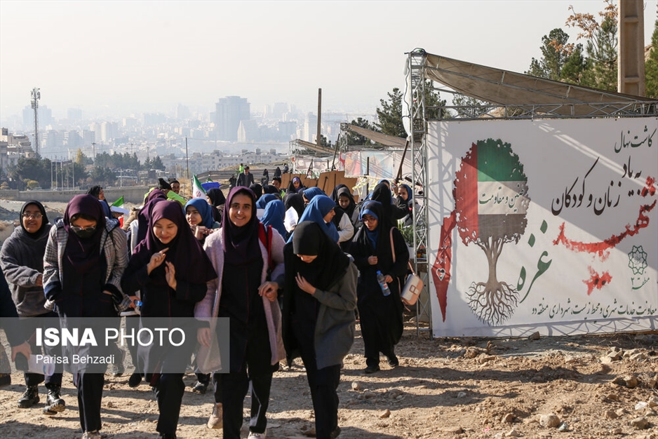 کاشت پنج هزار نهال به یاد کودکان و زنان شهید غزه